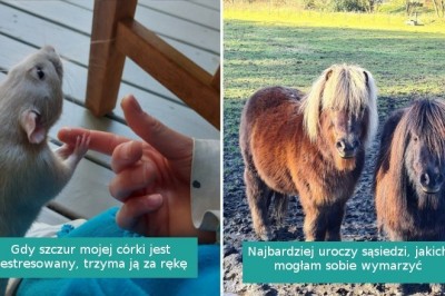 15 uroczych fotografii, które chwycą cię za serce dawką pozytywnych emocji