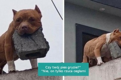 15 fotografii, które sprawią, że uśmiechniesz się nawet w najbardziej pochmurny dzień