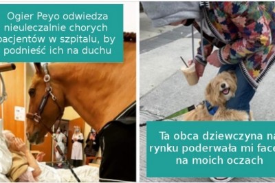 16 pozytywnych fotografii, które poprawią Ci nastrój nawet w najsmutniejszy dzień