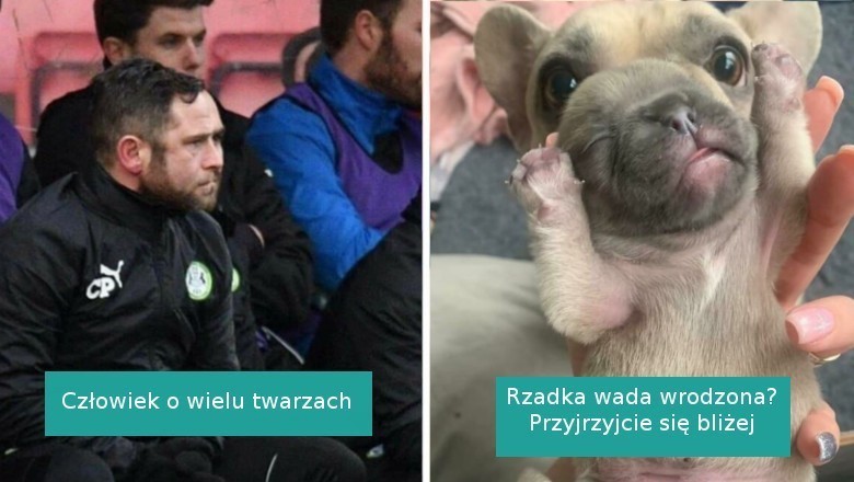 16 fotografii, które wystawią wasz wzrok i percepcję na próbę