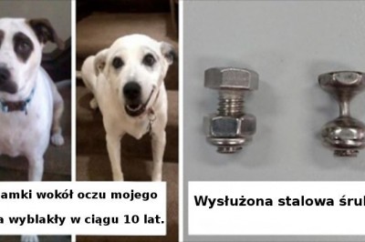 15 niezwykłych przykładów ukazujących piętno pozostawione przez upływający czas