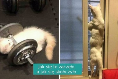 20 fotografii kotów udowadniających, że te zwierzęta ciągle potrafią nas zaskoczyć