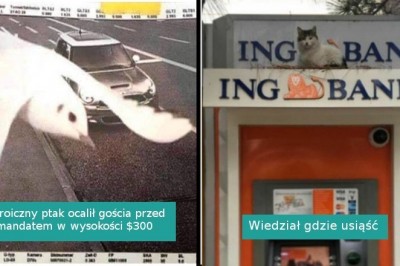 18 fotografii pokazujących, że niemożliwe nie istnieje