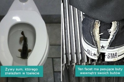 15 fotografii, które są tak mylące, że nawet Google nie jest w stanie nam pomóc