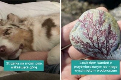 16 fotografii pokazujących, że natura nigdy nie przestanie nas zdumiewać