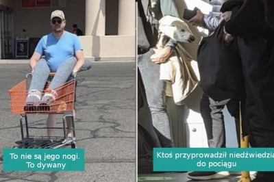 15 fotografii, które oszukają twój wzrok jeśli nie przyjrzysz się im dokładniej