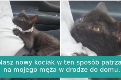 15 zwierząt, dla których miłość przychodzi naturalnie jak oddychanie