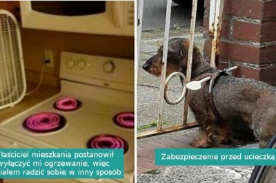 16 mistrzów improwizacji, którzy potrafią znaleźć rozwiązanie w każdej sytuacji