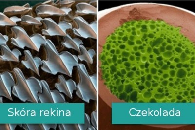 Galeria fotografii pokazujących jak wyglądają codzienne rzeczy pod dużym powiększeniem
