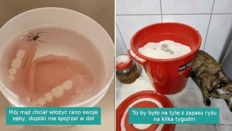 15 fotografii osób, które rozpaczliwie potrzebują przytulenia po ciężkim dniu