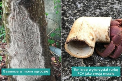 18 fotografii pokazujących mniej piękne ale fascynujące oblicze natury