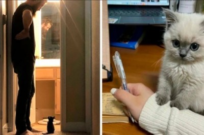 18 uroczych, niezwykle małych kociaków, które wydają się wręcz nierealne