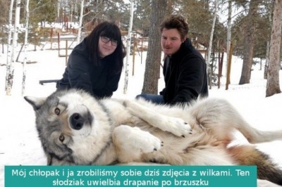 17 niebezpiecznych zwierząt, które również potrafią być urocze. Groźne słodziaki