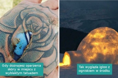 „Co się stanie, gdy...?”: 15 interesujących odpowiedzi na niecodzienne pytania
