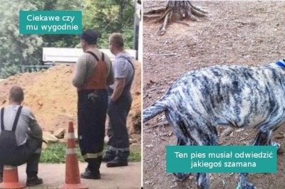 15 fotografii, które trudno zrozumieć na pierwszy rzut oka