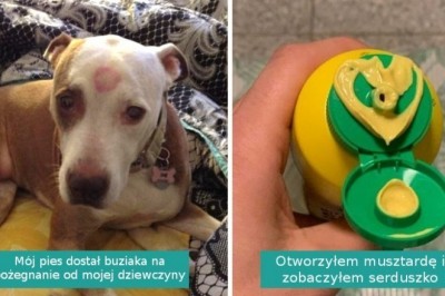 17 zwyczajnych drobiazgów, które umiliły ludziom szary dzień