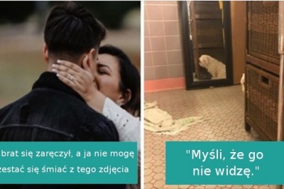 17 psów, które po prostu musiały wcisnąć nos w nieodpowiednie miejsce