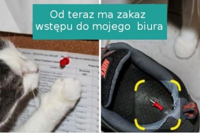 18 osób, które chciały zwierzaka, a otrzymały wrednego współlokatora