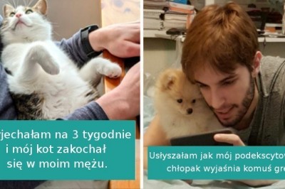 20 bezwstydnych zwierząt, które ukradły partnerów swoich właścicieli