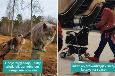 15 fotografii, które pokazują, że nasz świat jest kompletnie nieprzewidywalny