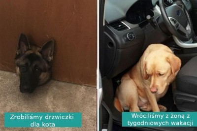 Każda z tych fotografii ma za sobą wzruszającą i interesującą historię powstania