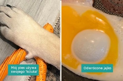 15 osób, które odkryły coś zaskakującego