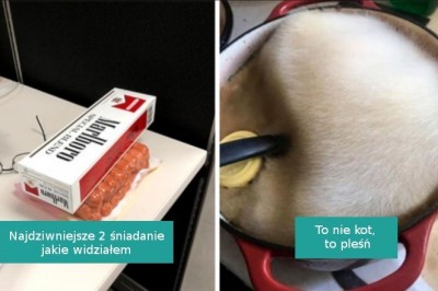 18 losowych i zabawnych fotografii, które trudno wytłumaczyć