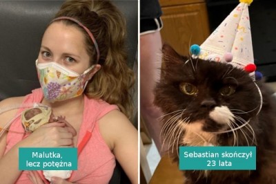 15 fotografii, które mówią więcej niż tysiąc słów