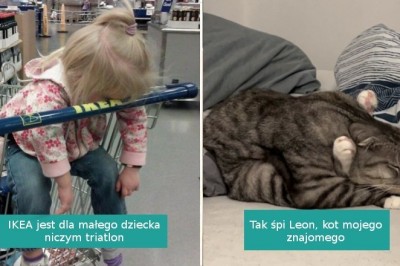 15 osób, którym udało się zrobić zdjęcie we właściwym momencie