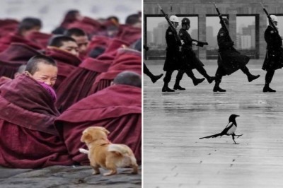 21 ulicznych fotografii pokazujących, że każdy ma poczucie humoru