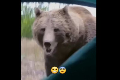 Majty do zmiany. Niecodziennie gość po otwarciu namiotu