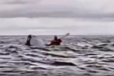 Nagrał jak jego syna połyka wieloryb i go wypluwa