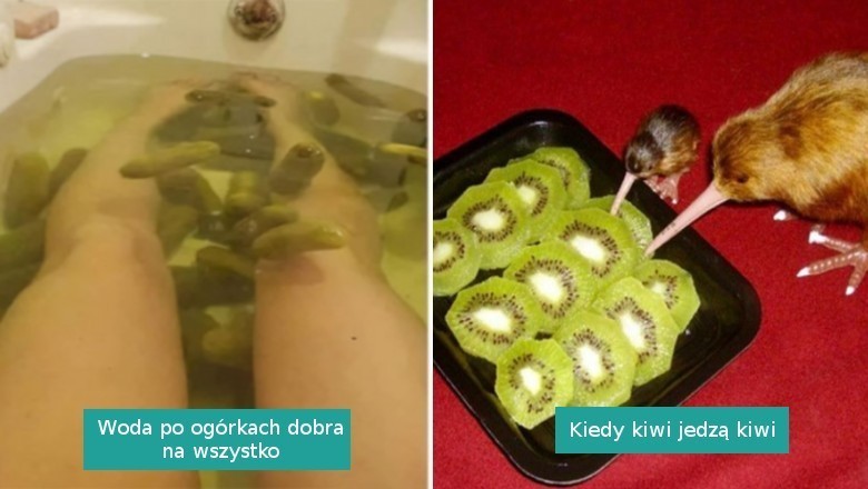 17 dziwnych fotografii, które wzbudziły u nas zdumienie lub konsternację