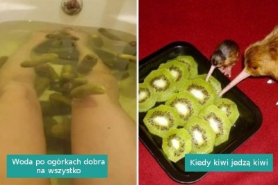 17 dziwnych fotografii, które wzbudziły u nas zdumienie lub konsternację