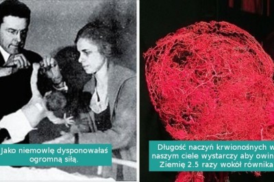 10 niecodziennych faktów, które udowodniają, że nasze ciało jest pełne tajemnic
