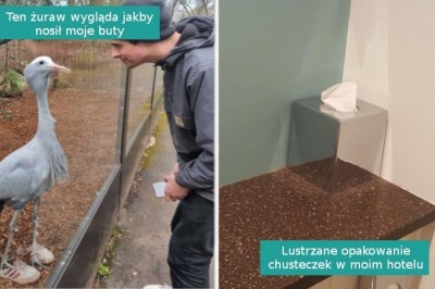 15 zdjęć, którym trzeba się dokładnie przyjrzeć, by je zrozumieć