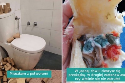 14 osób, które dały upust frustracji po tym, co je spotkało