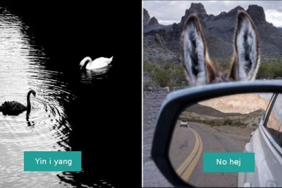 18 zdumiewających i niecodziennych momentów uchwyconych na zdjęciach