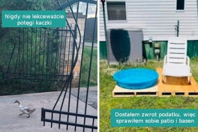 16 fotografii, które powstały tylko po to by poprawić nam nastrój