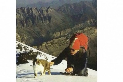 Tomba – kot, który wspinał się po Alpach. Legenda gór, która naprawdę istniała