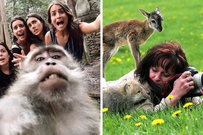 Te zwierzęta wiedzą jak się ustawić, żeby stać się prawdziwymi gwiazdami na zdjęciach