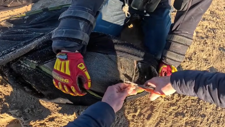 Ratunek dnia. Za taką pomoc dzikim zwierzętom należą się ogromne brawa