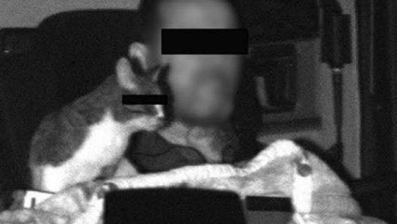 Złapany przez fotoradar na prowadzeniu TIRa z kotem. Dostał za to mandat