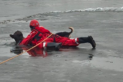Strażacy ratowali owczarka z lodowej pułapki na Odrze. Jego mniejszy przyjaciel był przy nim do końca
