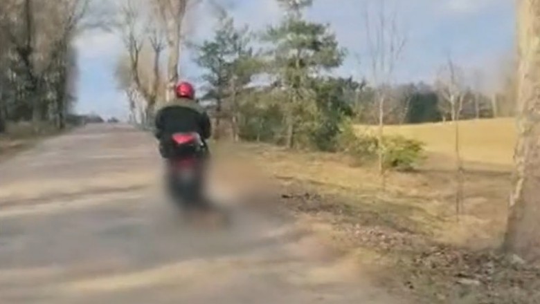 Ciągnął psa za motorowerem. Zwierzę nie przeżyło. Policja opublikowała nagranie