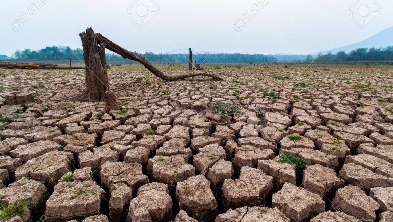 Jeden obrazek wygenerowany w AI to zużycie nawet 0,5 litra wody. Wysokie koszty takiej zabawy