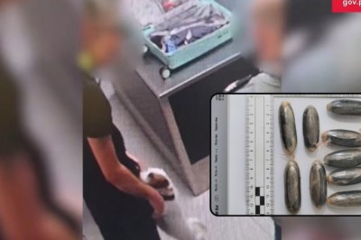 Połknął 89 kapsułek z kokainą. Lola pomogła udaremnić przemyt.