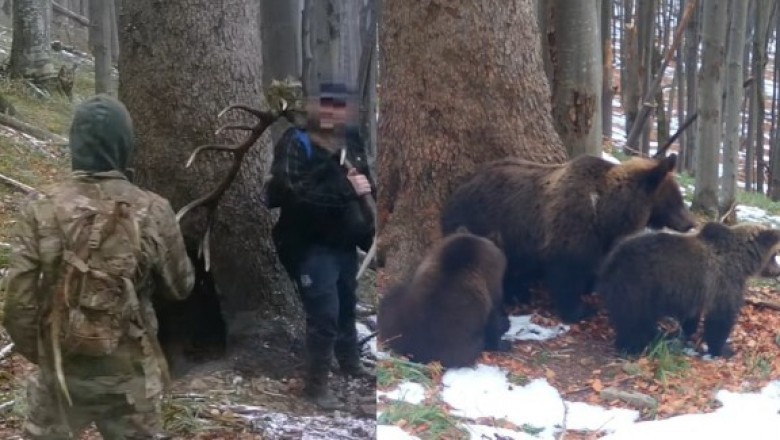 Skrajnie niebezpieczne zachowanie turystów. Opublikowano nagranie z Parku Narodowego
