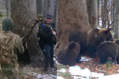 Skrajnie niebezpieczne zachowanie turystów. Opublikowano nagranie z Parku Narodowego